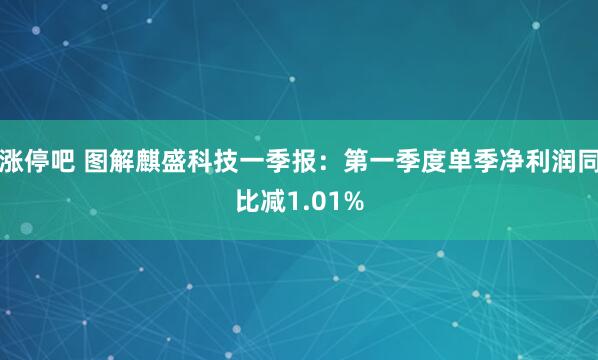 涨停吧 图解麒盛科技一季报：第一季度单季净利润同比减1.01%