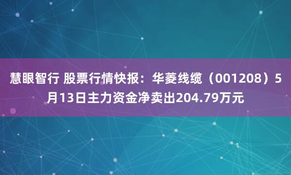 慧眼智行 股票行情快报：华菱线缆（001208）5月13日主力资金净卖出204.79万元