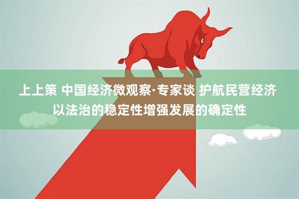 上上策 中国经济微观察·专家谈 护航民营经济 以法治的稳定性增强发展的确定性