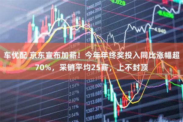 车优配 京东宣布加薪!今年年终奖投入同比涨幅超70%,采销平均25薪,上不封顶