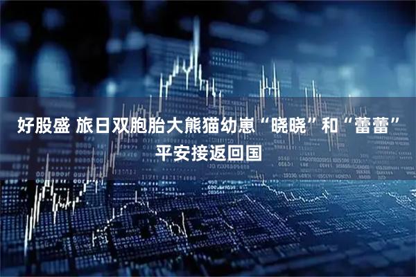 好股盛 旅日双胞胎大熊猫幼崽“晓晓”和“蕾蕾”平安接返回国