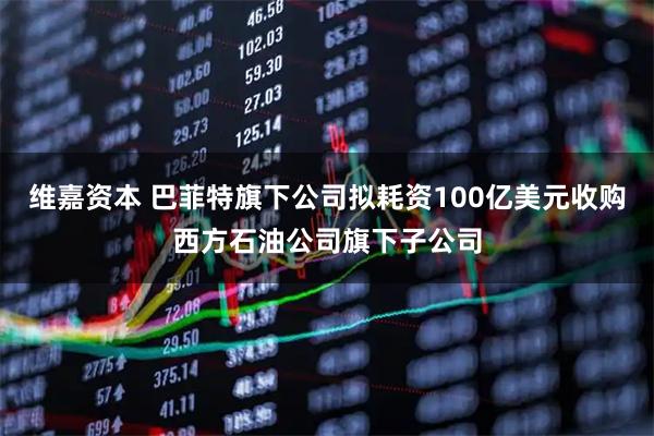 维嘉资本 巴菲特旗下公司拟耗资100亿美元收购西方石油公司旗下子公司
